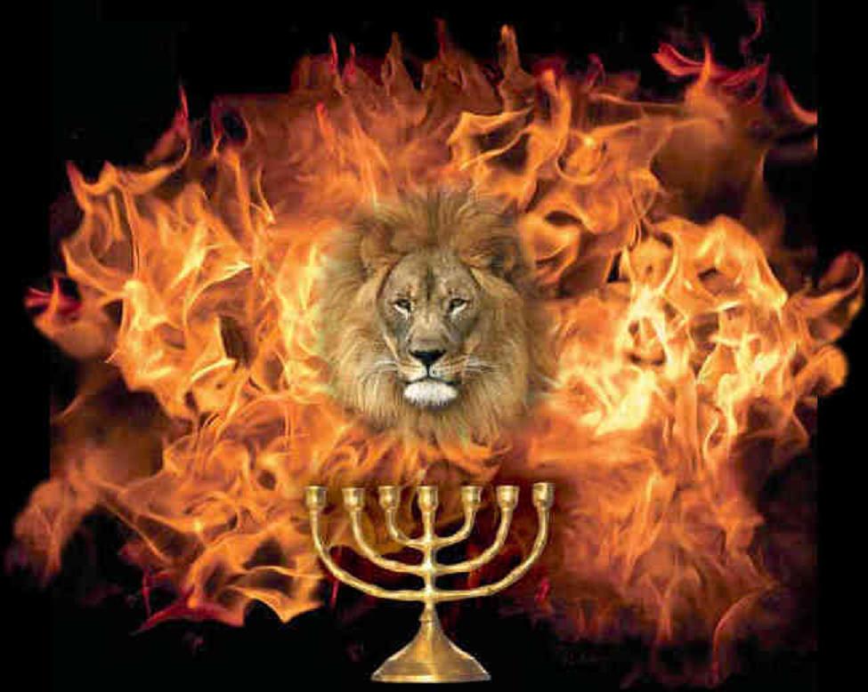 lion wallpapers. Lion of Judah